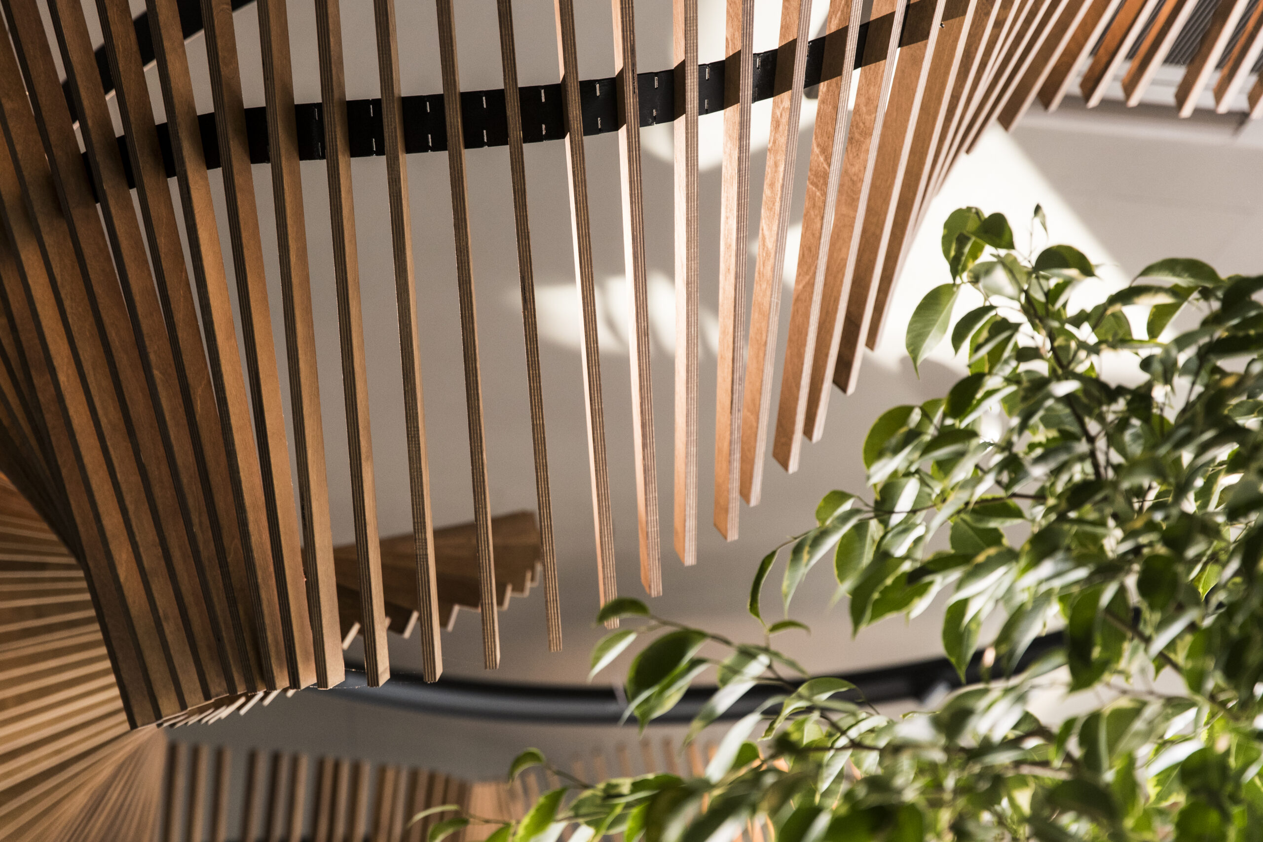 Architectural Wood Ceiling Detail with Indoor Greenery